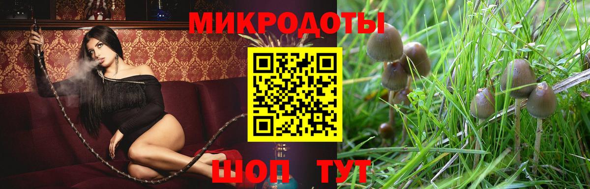 Галлюциногенные грибы GOLDEN TEACHER Белореченск