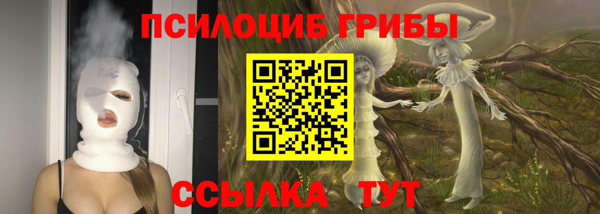 Галлюциногенные грибы прущие грибы  Вход с VPN  Белореченск  Галлюциногенные грибы мицелий 