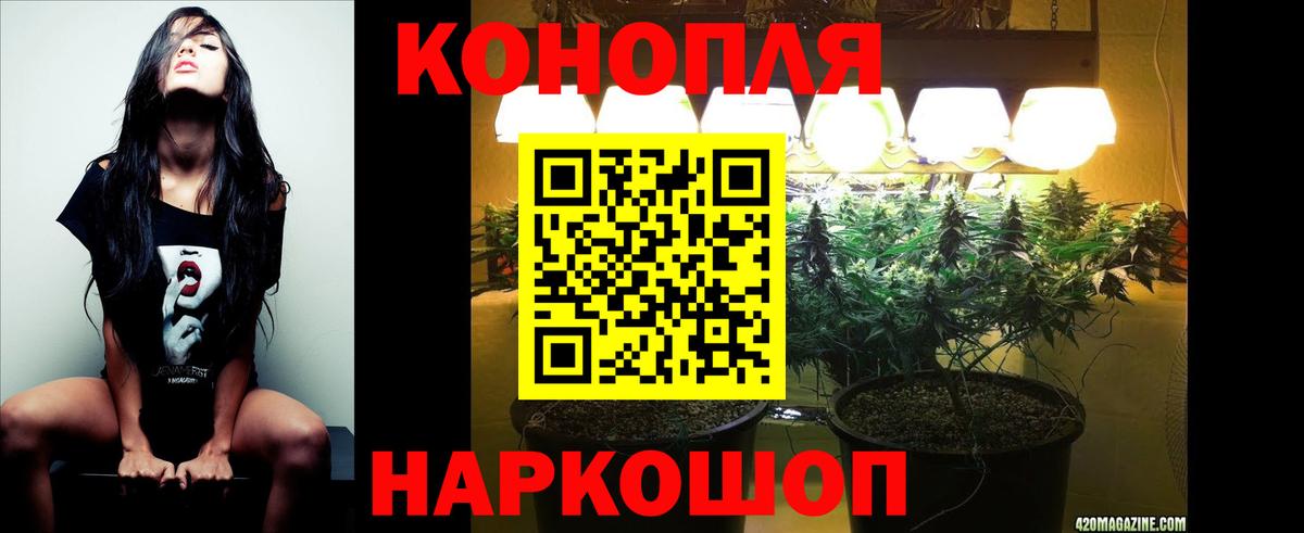 Белореченск  Бошки марихуана планчик  Вход с VPN  МАРИХУАНА Amnesia 